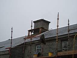 coolross 3585.jpg
